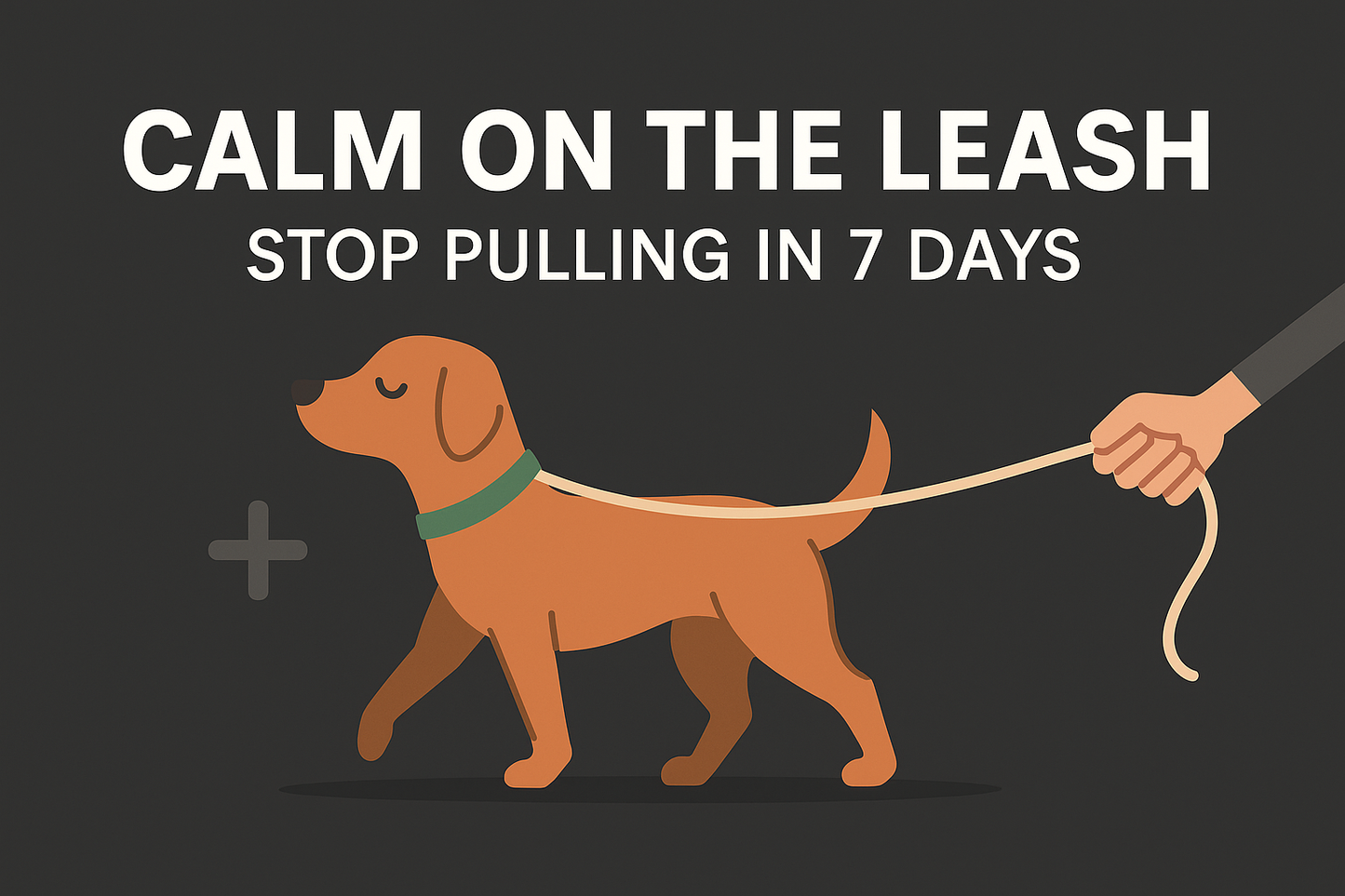 Calm on the Leash Stop Pulling in 7 Days