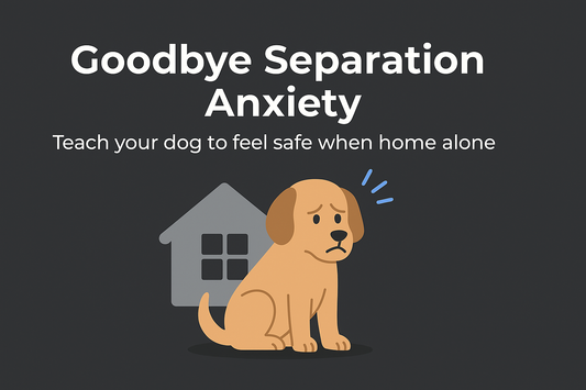 Goodbye Separation Anxiety