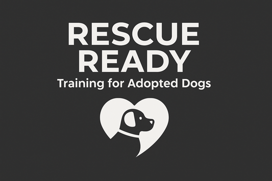 Rescue Ready Training for Adopted Dogs