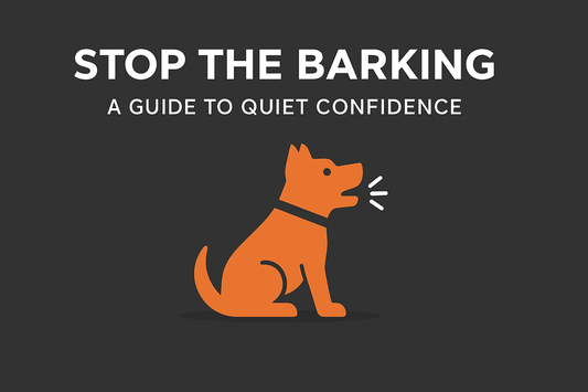 Stop the Barking: A Guide to Quiet Confidence