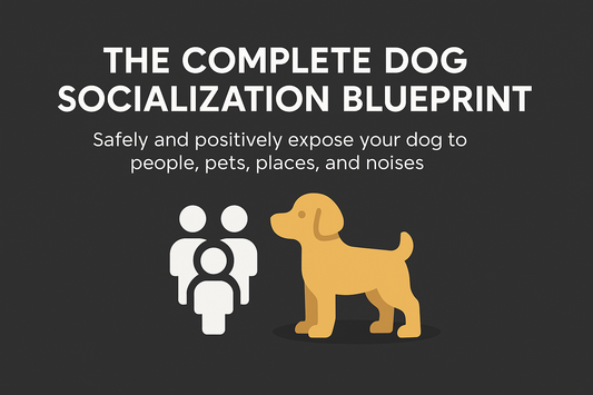 The Complete Dog Socialization Blueprint